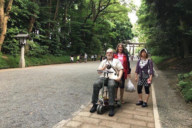 Full-Day Accessible Tour of Tokyo for Wheelchair Users - What the best guides do for wheelchair users in Tokyo