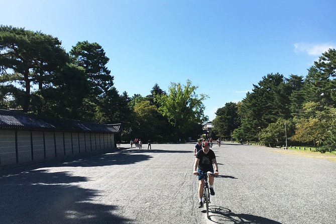 Full Day Biking Tour Exploring the Best of Kyoto - Why biking Kyoto beats walking and buses