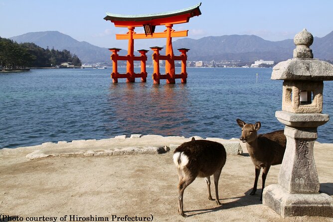 Full Day Hiroshima and Miyajima Tour by Bullet Train from Kyoto - Finding the meeting point at Kyoto Station (and avoiding the stress spiral)