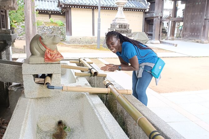 Full-Day Sightseeing to Kyoto Highlights - Why this Kyoto highlights route feels efficient