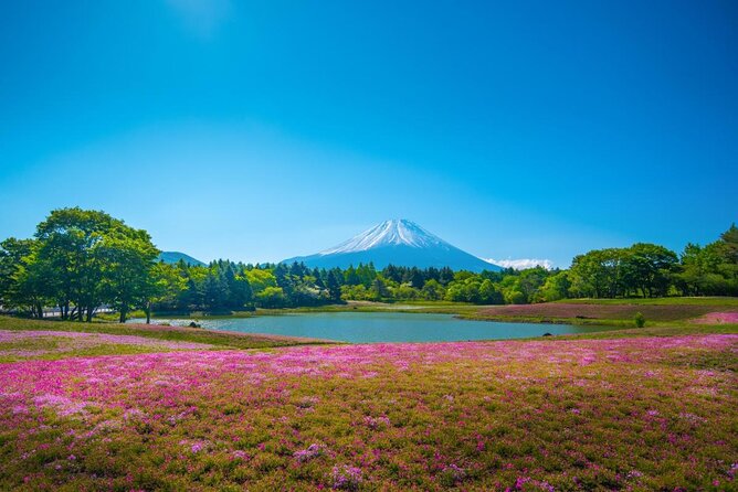 Full Day Tour to Mount Fuji in Spanish - Key things that make this tour worth your time