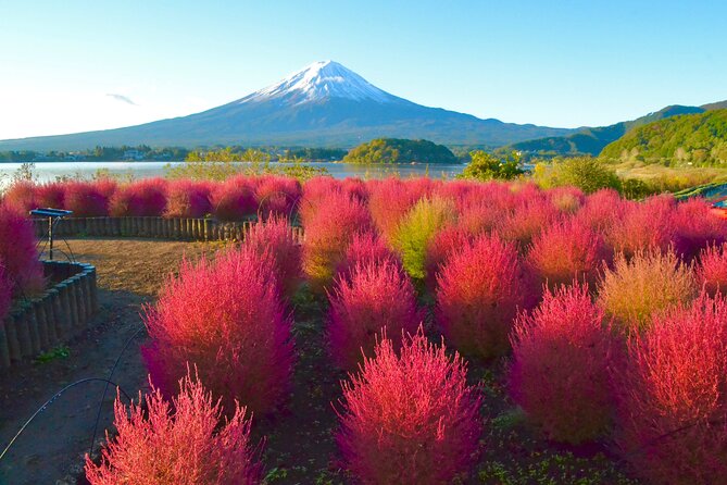 Full Day Tour to Mount Fuji in Spanish - Stop 1: Shiraito Falls, where Fuji’s volcanic past shows in water