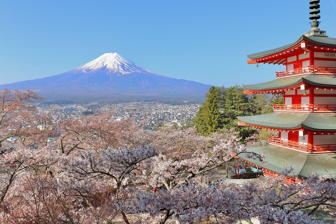 Full Day Tour to Mount Fuji in Spanish - Stop 3: Saiko Iyashi no Sato Nemba, a rebuilt ancestral town