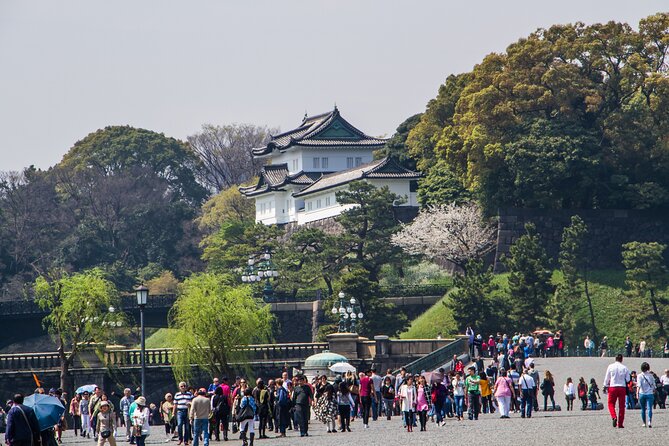 Full Tokyo: Meiji Shrine, Imperial Palace, Asakusa & Skytree - Key things I’d bet on before you go