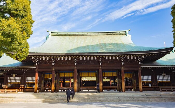 Get Unique Insights into Tokyo - Private Tour with local Guide - Key highlights to look for