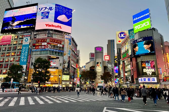 Get Unique Insights into Tokyo - Private Tour with local Guide - Starting at Meiji Jingu, learning shrine customs without second-guessing