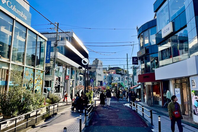 Get Unique Insights into Tokyo - Private Tour with local Guide - If your time window is longer: Odaiba’s future-meets-beach vibe