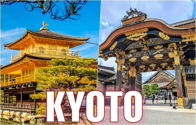 Golden Pavilion, Nijo Castle, & Nishiki Market Half day tour - Key takeaways before you go