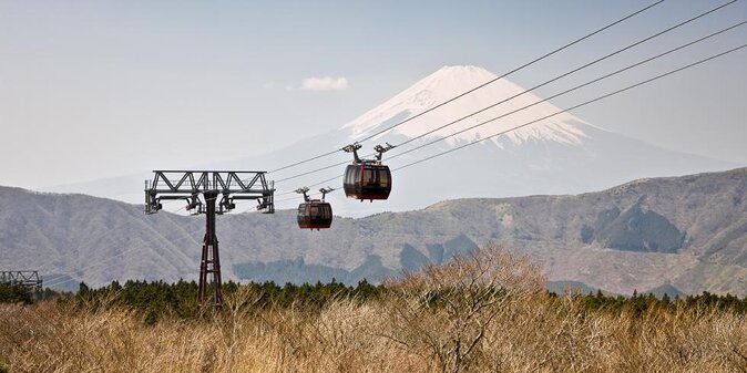 Hakone 6 hour Private Tour with Government-Licensed Guide - Why Hakone Works Best With a 6-Hour Private Plan