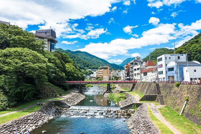 Hakone 6 hour Private Tour with Government-Licensed Guide - Weather, Ropeway Closures, and How the Day Can Change