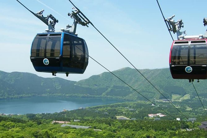 Hakone 6 hour Private Tour with Government-Licensed Guide - Choosing What to Do Based on Your Travel Style