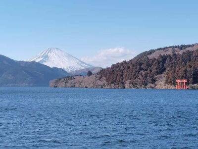 Hakone Adventure: Explore Nature’s Beauty and Tranquility