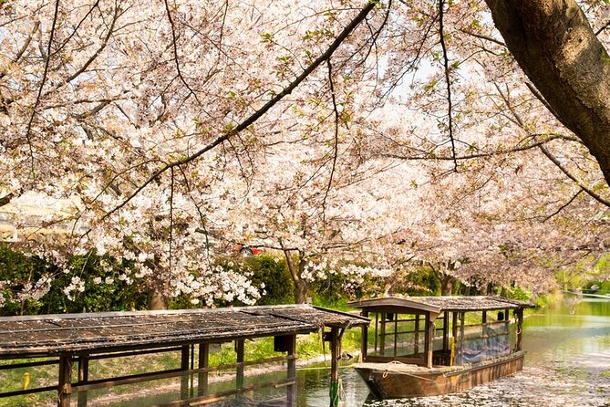 Hakone and Mt. Fuji Day Trip with Private Vehicle - Hakone Shrine and Kuzuryu Shrine: a short, meaningful start