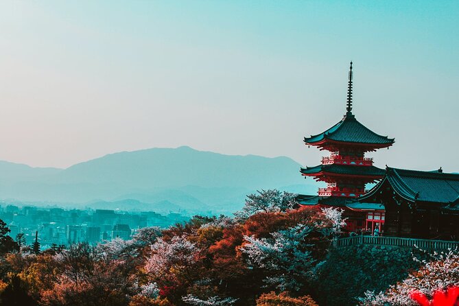 Hakone and Mt. Fuji Day Trip with Private Vehicle - Price and value: what you pay vs what you still budget