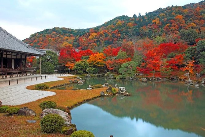Half Day Kyoto Sagano Bamboo Grove & Arashiyama Walking Tour - Sagano Bamboo Grove and Arashiyama, a Half-Day With Real Breathing Room