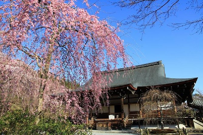 Half Day Kyoto Sagano Bamboo Grove & Arashiyama Walking Tour - Jojakko-ji Temple: Forest Views, Heike Stories, and a Hidden-Feeling Pagoda