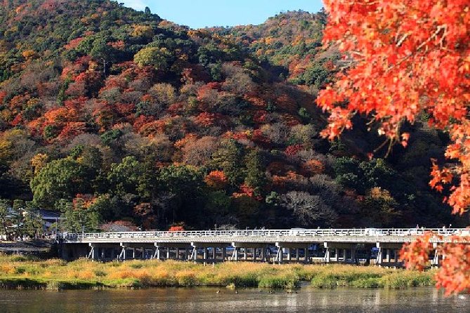 Half Day Kyoto Sagano Bamboo Grove & Arashiyama Walking Tour - From Kyoto Station to Saga-Arashiyama: Public Transit Done the Simple Way