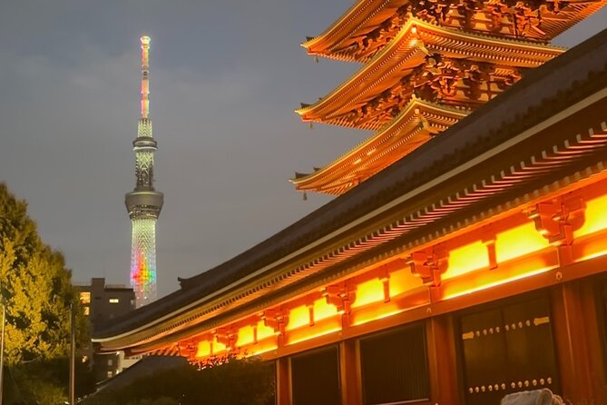 Haneda Airport Private Transfer - Luxury Car & Meet & Greet - Stopovers and photo breaks: yes, you can ask