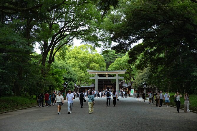 Harajuku Meiji Shrine Walking Tour in Tokyo - Getting the most out of a 2-hour schedule