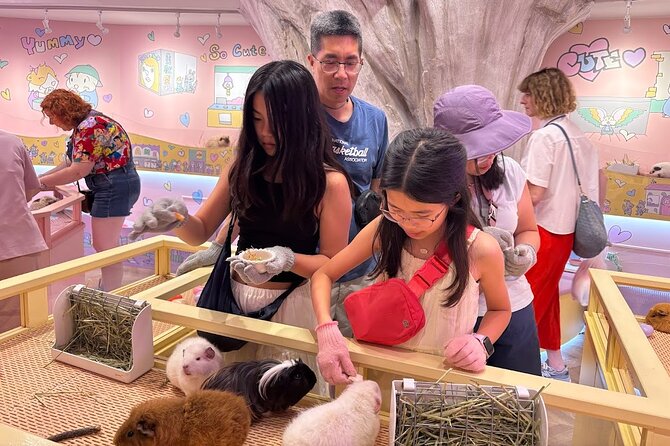 Harajuku Private Tour: Kawaii Fashion & Animal Cafe Included - Daiso Harajuku and Totti Candy Factory: cute souvenirs and instant photos