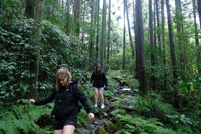 Hike Japan Heritage Hakone Hachiri (Half Day) - Key things I’d plan around