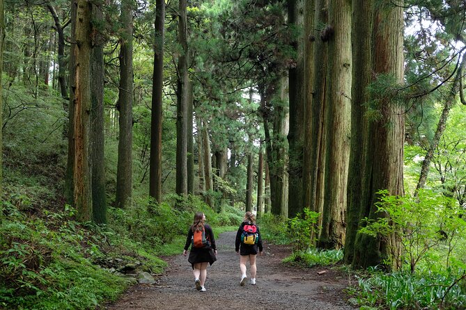 Hike Japan Heritage Hakone Hachiri (Half Day) - Following the Old Tokaido on Foot, Then Ending at Lake Ashi