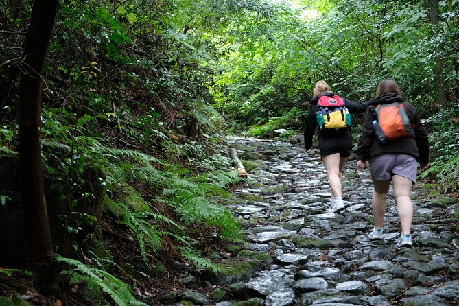 Hike Japan Heritage Hakone Hachiri (Half Day) - Lake Ashi: Forest Bathing Finish, Mt Fuji If You’re Lucky