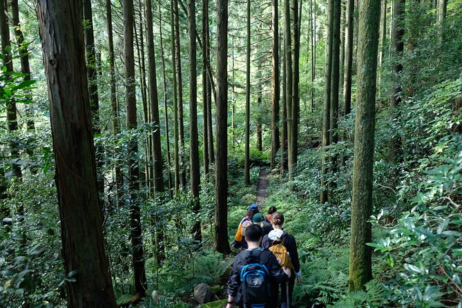 Hike Japan Heritage Hakone Hachiri (Half Day) - Price and Value: $114.95 for a Guide, a Route, and Real Time Outdoors