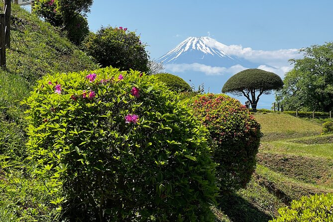 Hike Japan Heritage Hakone Hachiri with certified mountain guide - Hakone-machi lunch, then a bus skip to keep momentum