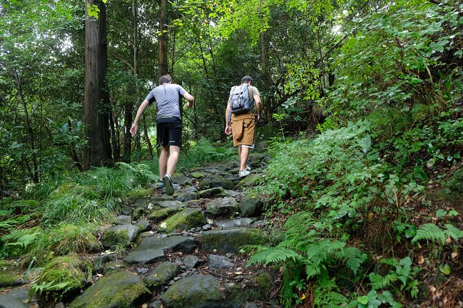 Hike Japan Heritage Hakone Hachiri with certified mountain guide - Yamanaka Castle Ruins: heritage path plus possible Fuji angles
