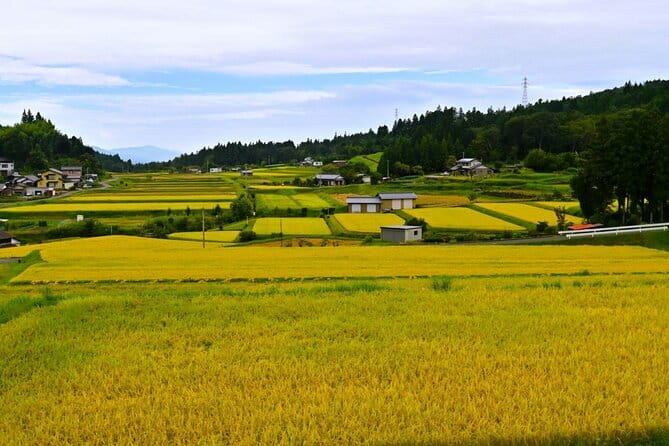 Hiking the Historic Nakasendo Trail [1 Day Tour from Nagoya] - Tsumago-juku: a post town you understand after the guide speaks