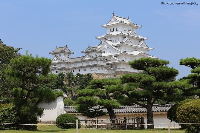 Himeji Castle and Akashi Kaikyo Bridge Walking Tour from Kyoto - Key Things I’d Book This For