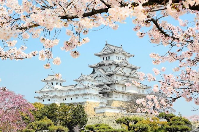 Himeji Half-Day Private Tour with Government-Licensed Guide - Nadagiku Shuzo sake brewery: a simple way to taste Himeji culture