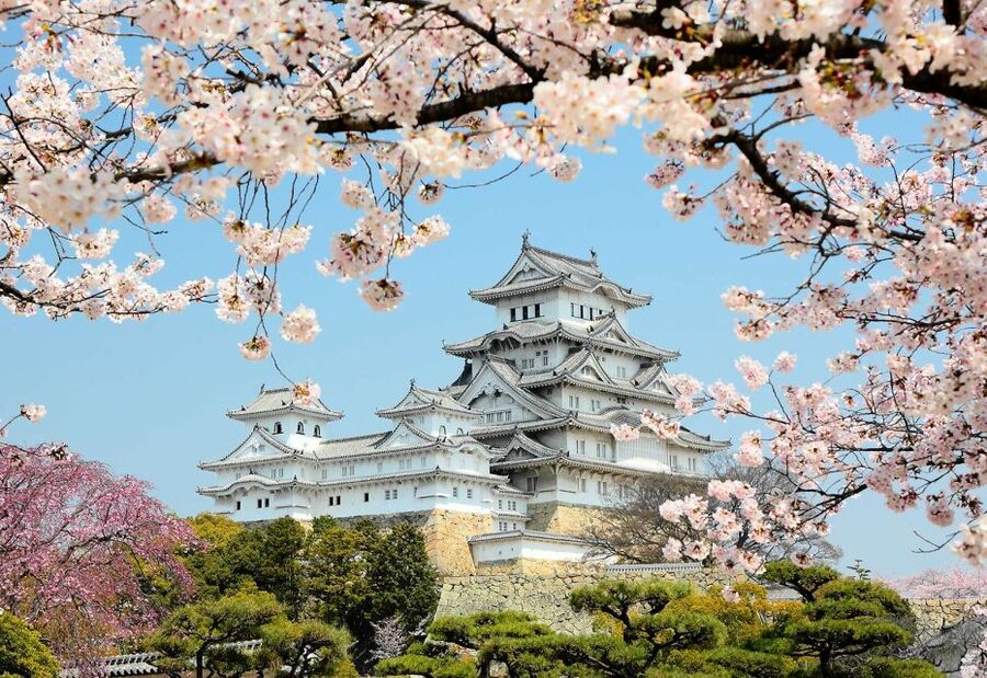 Himeji: Private Customized Tour with Licensed Guide - Pickup and moving around without paying surprise costs