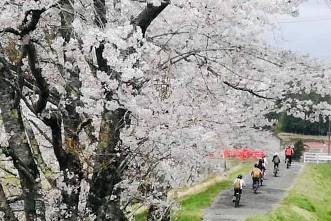 Hiroshima Country Cycling: Explore Rural Life 1 HR from City - Stop 3, Ainosato Herb Garden: your lunch break with local vegetables