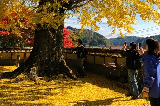 Hiroshima Country Cycling: Explore Rural Life 1 HR from City - Stop 4, Oasa main street: seeing the town when it’s not performing