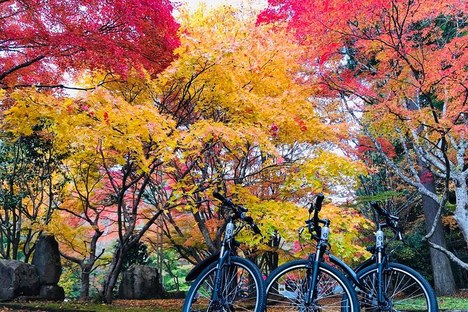 Hiroshima Country Cycling: Explore Rural Life 1 HR from City - Stop 1, Kakeyama: the hill climb that teaches you why e-bikes matter