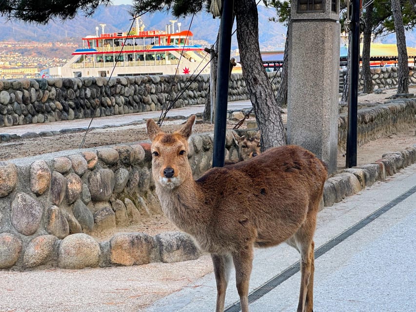 Hiroshima: Hiroshima and Miyajima UNESCO Sites 1-Day Tour - Omotesando Street free time: shopping, snacks, and not overplanning
