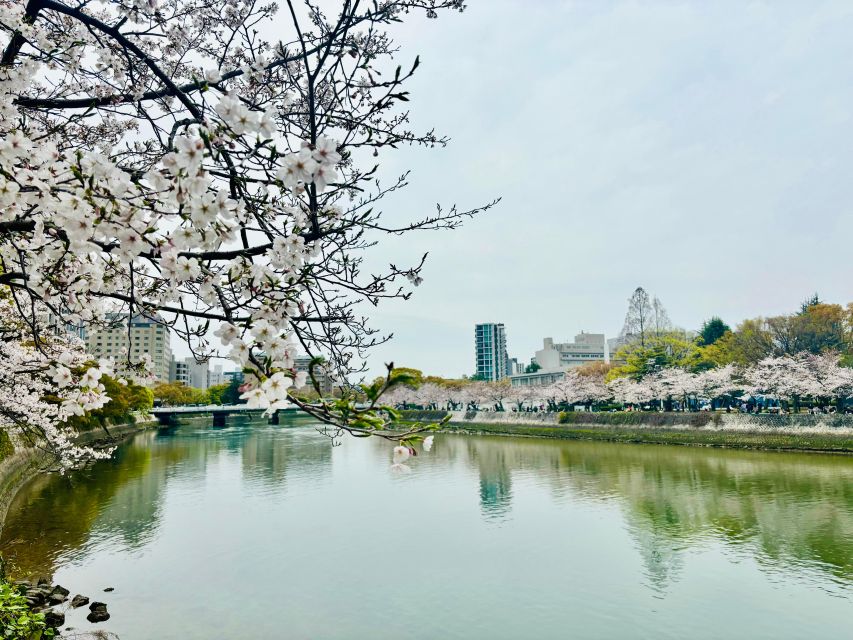 Hiroshima: History of Hiroshima Group Walking Tour - Tips that make the walk feel easier (and more meaningful)