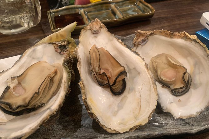 Hiroshima Izakaya Food and Drink Night Tour - Who should book this Hiroshima izakaya night tour
