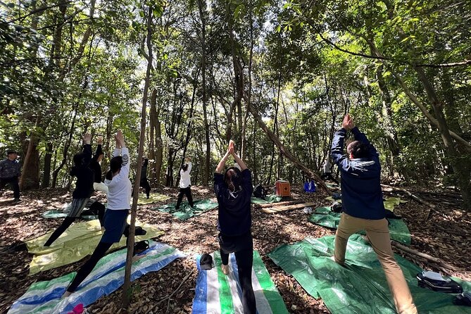 Hiroshima Local guided Hiking Tour&Open-air Tea Ceremony - From Hiroshima Station to Shrine Steps: How the Route Flows