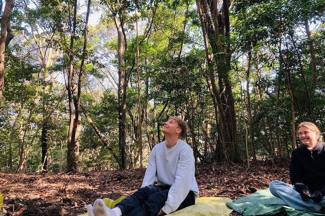 Hiroshima Local guided Hiking Tour&Open-air Tea Ceremony - Futabayama Peace Pagoda Views and Shinrinyoku Forest Bathing