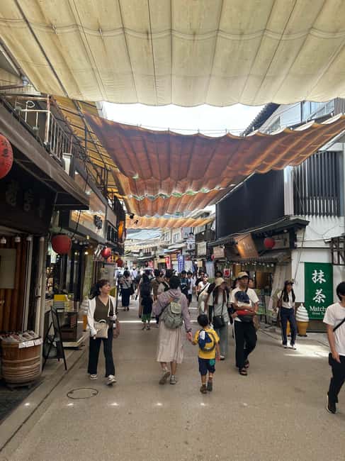 Hiroshima & Miyajima 6.5h Guided Tour - Dome, Park & Shrine - The Peace Memorial Museum: when you should budget extra focus