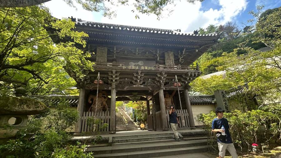 Hiroshima & Miyajima 6.5h Guided Tour - Dome, Park & Shrine - Guide-led storytelling and small group attention under 10