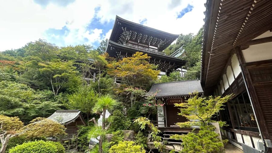 Hiroshima & Miyajima 6.5h Guided Tour - Dome, Park & Shrine - Price and value: what you pay for, what you still cover