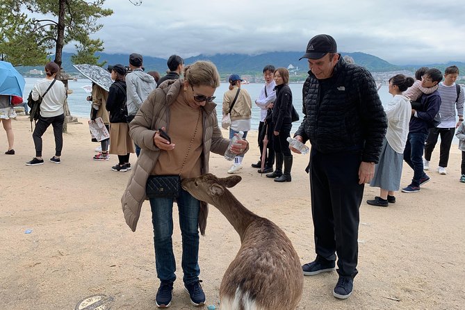 Hiroshima / Miyajima Full-day Private Tour with Government Licensed Guide - Tenshinkaku, Hilltop Views That Make Miyajima Click