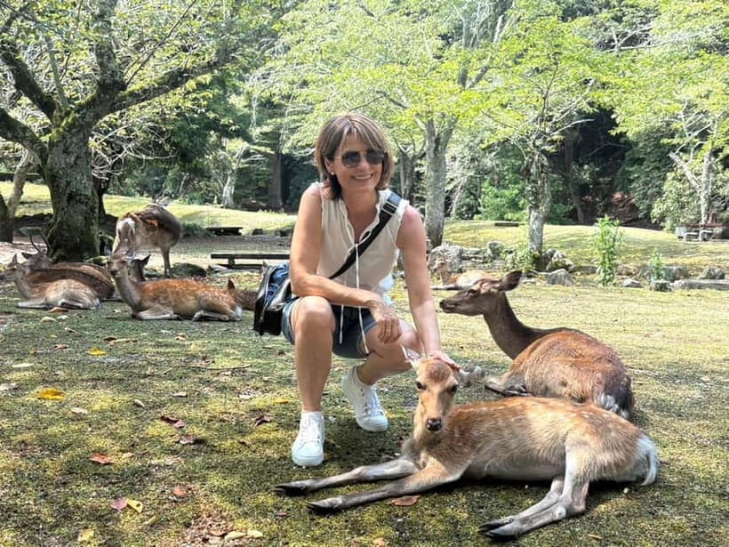 Hiroshima: Miyajima Island Half-Day Tour with Guide - Key Highlights You Should Actually Care About