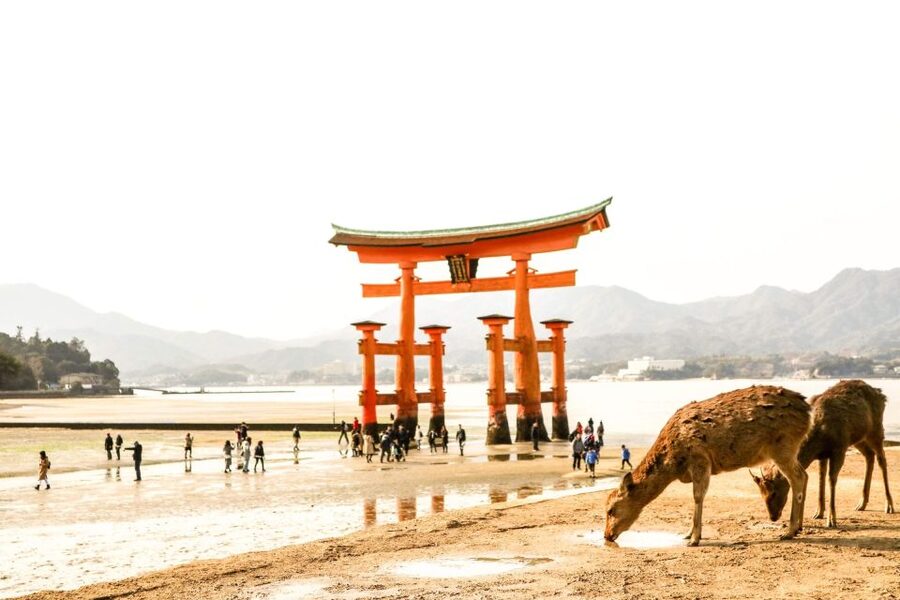 Hiroshima: Miyajima Peace Memorial Icons of Peace and Beauty - Photo Option, When You Want Memories Without the Guesswork