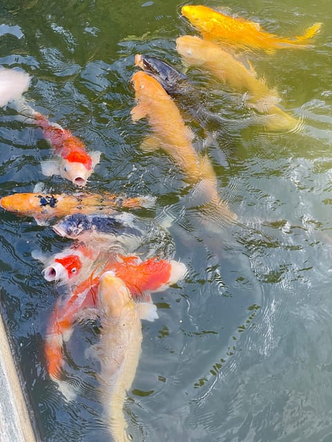 Hiroshima & Miyajima: UNESCO A-Bomb Dome & Itsukushima - Getting value from $177 per person, without pretending it is “just sights”