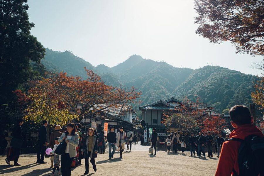 Hiroshima to Miyajima: Private Custom Tour with Ferry Ride - Price and logistics: what $293 includes, and what you might pay on top